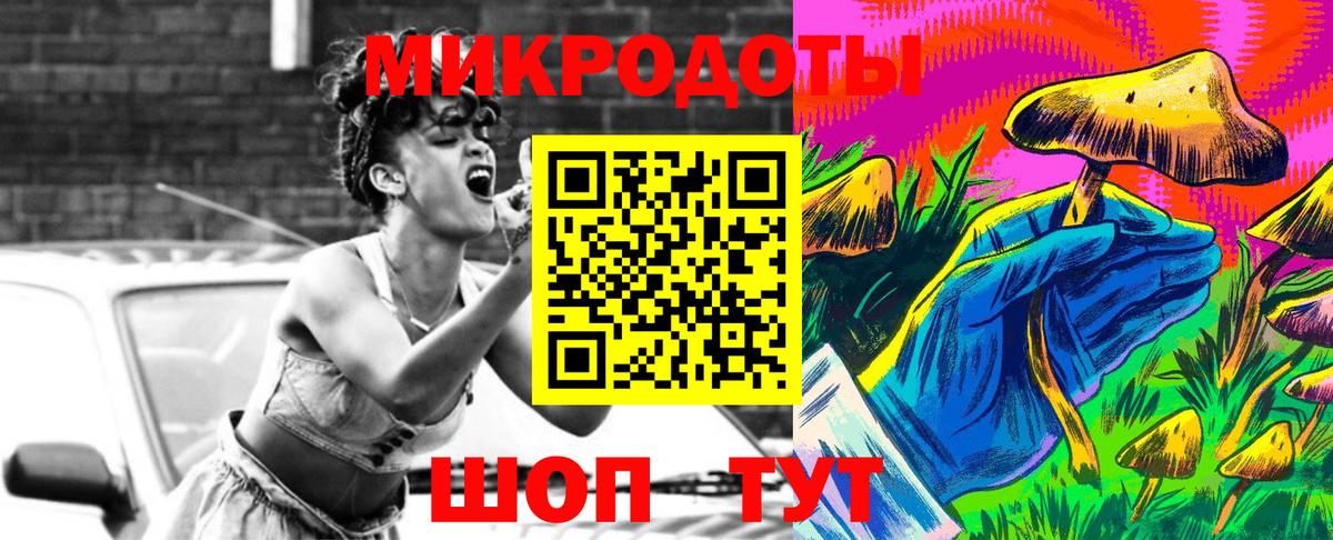 Галлюциногенные грибы Psilocybine cubensis Берёзовский